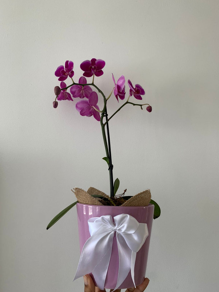 Orquídeas artificiales para cualquier - Fantasías Lourdes